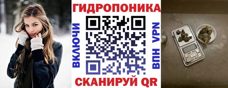 Бошки марихуана индика  darknet как зайти  Фурманов  как найти закладки  hydra ссылки 